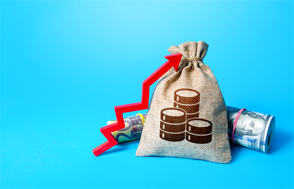 「預(yù)算管理咨詢」如何在不同階段制定不同的預(yù)算計劃？