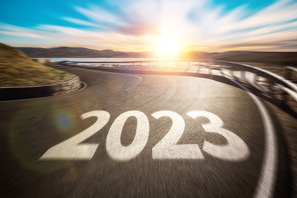 組織文化建設(shè)咨詢：塑造積極企業(yè)文化，提升組織凝聚力