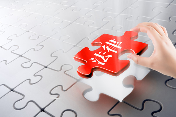 預(yù)算審計(jì)咨詢(xún)：指導(dǎo)企業(yè)開(kāi)展審計(jì)工作，確保預(yù)算合規(guī)