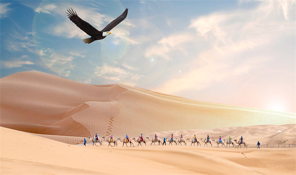 集團(tuán)管控升級迭代，激發(fā)企業(yè)活力，實現(xiàn)持續(xù)領(lǐng)先