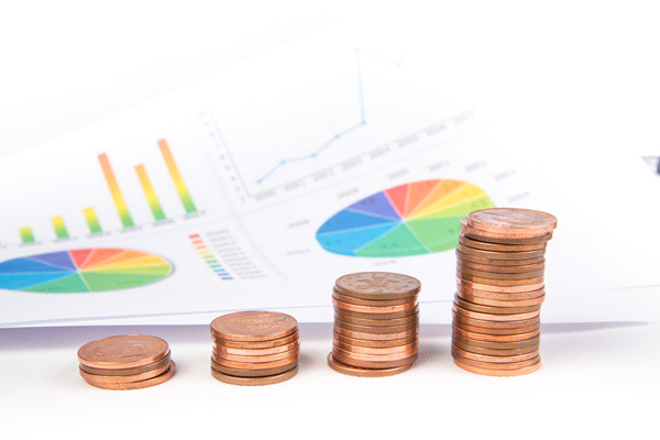 預算管理過程中如何有效識別并控制成本超支風險？