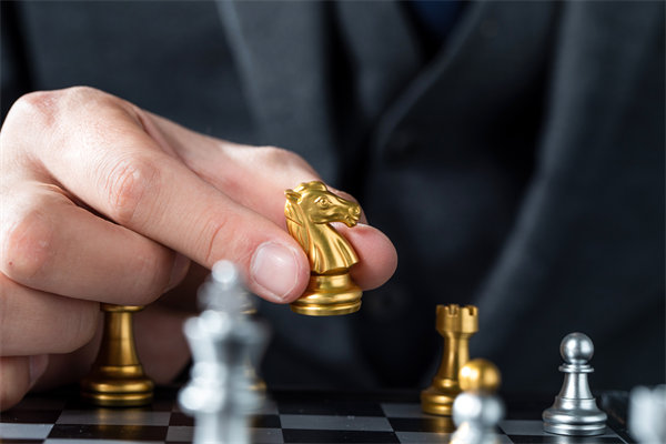 戰(zhàn)略咨詢，揭秘成功密碼，引領企業(yè)從優(yōu)秀走向卓越