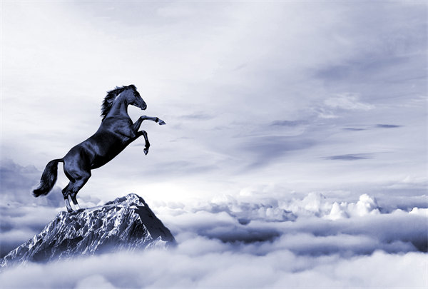 深度整合企業(yè)戰(zhàn)略資源，構(gòu)建高效運(yùn)營(yíng)管理體系