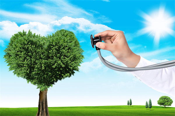 員工福利設(shè)計新思維：如何平衡成本效益與員工滿意度？