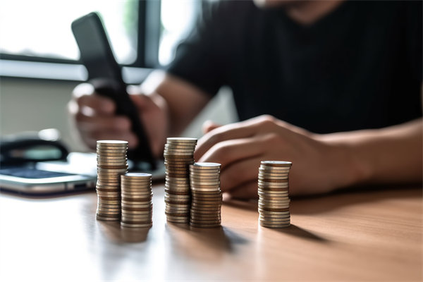 環(huán)境快速變化，如何確保預(yù)算執(zhí)行的靈活性和適應(yīng)性？