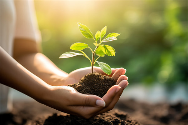 可持續(xù)發(fā)展成為趨勢，企業(yè)如何融入綠色戰(zhàn)略以促增長？