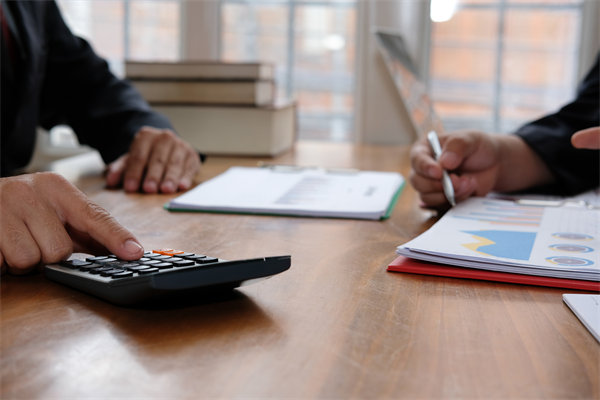 預(yù)算管理系統(tǒng)中，如何平衡自動(dòng)化與人工審核的利弊？