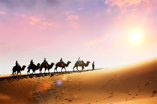 企業(yè)文化在人力資源管理中，扮演著怎樣的角色？