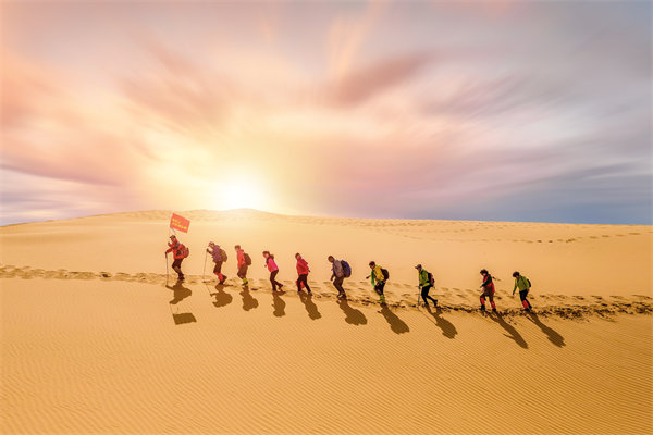 組織需要擴大規(guī)模時，如何確保資源有效整合與配置？