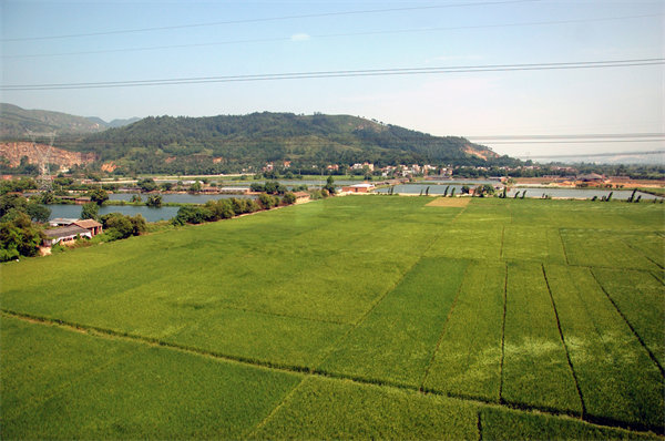 清遠(yuǎn)績(jī)效咨詢公司如何定制高效績(jī)效管理體系？