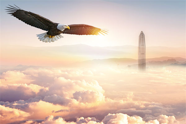 企業(yè)文化與企業(yè)管理如何協(xié)同，推動(dòng)企業(yè)持續(xù)發(fā)展？