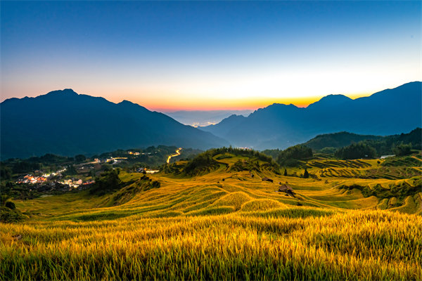 麗水組織規(guī)劃咨詢公司如何為企業(yè)構(gòu)建高效組織架構(gòu)？