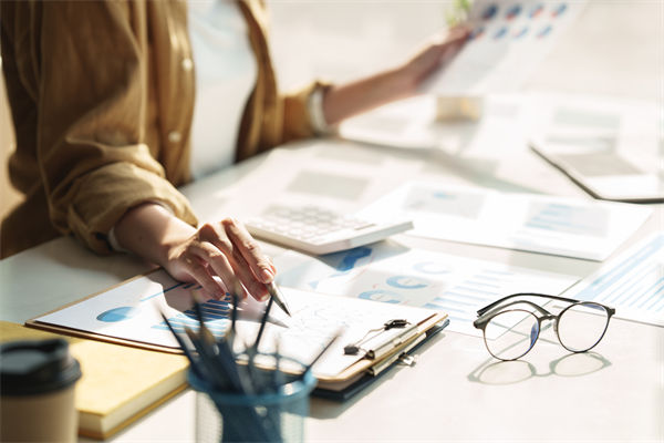 在預算執(zhí)行中，如何確保監(jiān)控與調整機制的有效性？