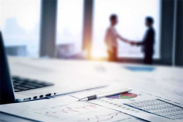 在預(yù)算執(zhí)行中，如何確保監(jiān)控與調(diào)整機制的有效性？