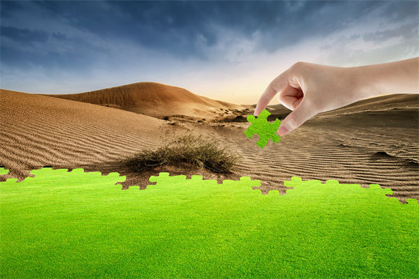 企業(yè)深陷困境，管理咨詢?nèi)绾我岳做侄未蚱瓢l(fā)展僵局？