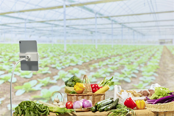 面對(duì)市場(chǎng)變化，您的營(yíng)銷團(tuán)隊(duì)是否足夠靈活應(yīng)變？