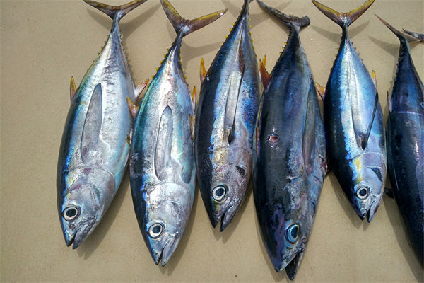 商務(wù)部：將幫助外貿(mào)企業(yè)擴寬內(nèi)銷渠道，政策解讀！