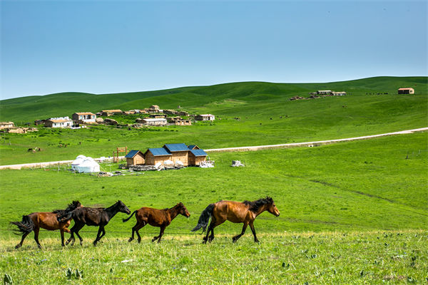 飛新疆的機(jī)票價(jià)格漲爆了，什么情況？是營(yíng)銷炒作？