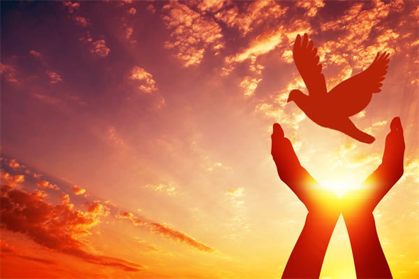 別讓盲卡盲盒“收割”孩子，關(guān)聯(lián)企業(yè)戰(zhàn)略怎么看？