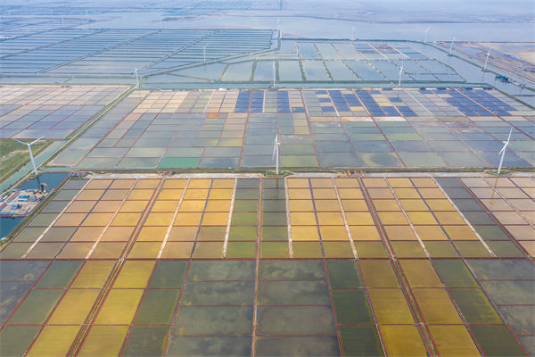 濰坊集團子公司失控內(nèi)耗嚴(yán)重，濰坊集團管控咨詢公司如何重構(gòu)權(quán)責(zé)體系？