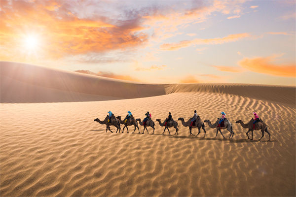 企業(yè)文化管理失效？這三大認(rèn)知誤區(qū)為何拖垮團(tuán)隊(duì)？