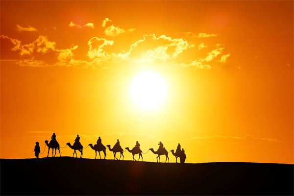 高層標榜的企業(yè)文化，如何穿透形式真正落地生根？