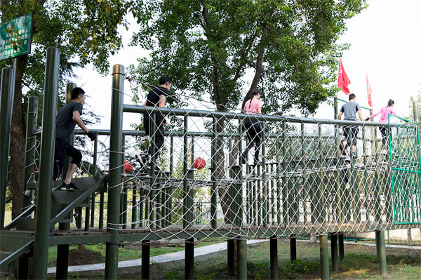 文化活動形式豐富多樣，組織凝聚力提升為何緩慢？