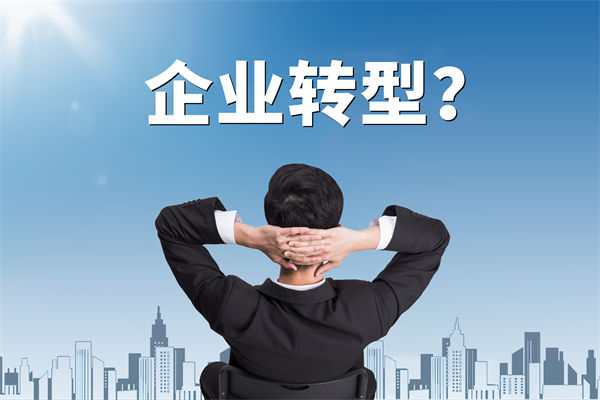 企業(yè)轉(zhuǎn)型無方向，數(shù)智化咨詢公司能否指引明路？