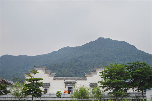 子公司各自為戰(zhàn)內耗大，佛山集團管控咨詢公司有何整合之道？