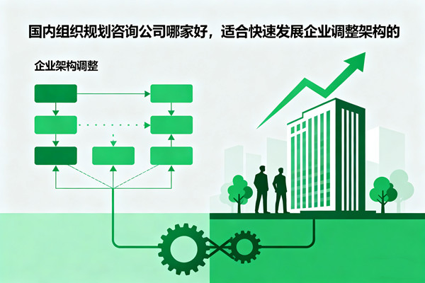國內(nèi)組織規(guī)劃咨詢公司哪家好，適合快速發(fā)展企業(yè)調(diào)整架構(gòu)的