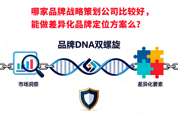 哪家品牌戰(zhàn)略策劃公司比較好，能做差異化品牌定位方案么？