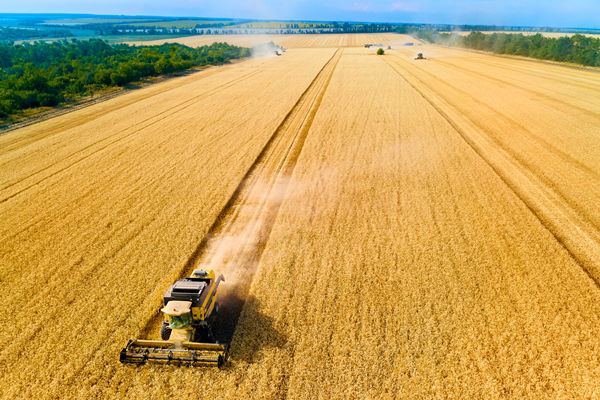 農(nóng)業(yè)行業(yè)供應(yīng)鏈管理咨詢公司推薦，能解農(nóng)資采購成本高問題嗎？