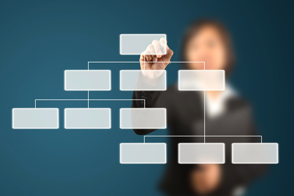 哪家組織規(guī)劃咨詢公司落地最好，能搭建適配發(fā)展的組織體系？